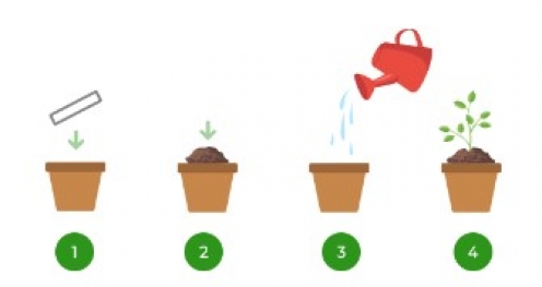 1474280 - Bracelet en papier à planter - Marquage sur fond blanc - Vue 3