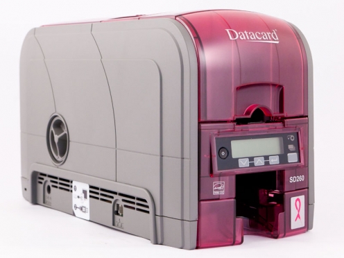 SD260 Pink Edition - Vue 2